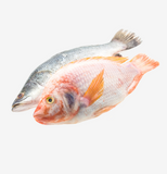 Fish - Mfresh Grocery