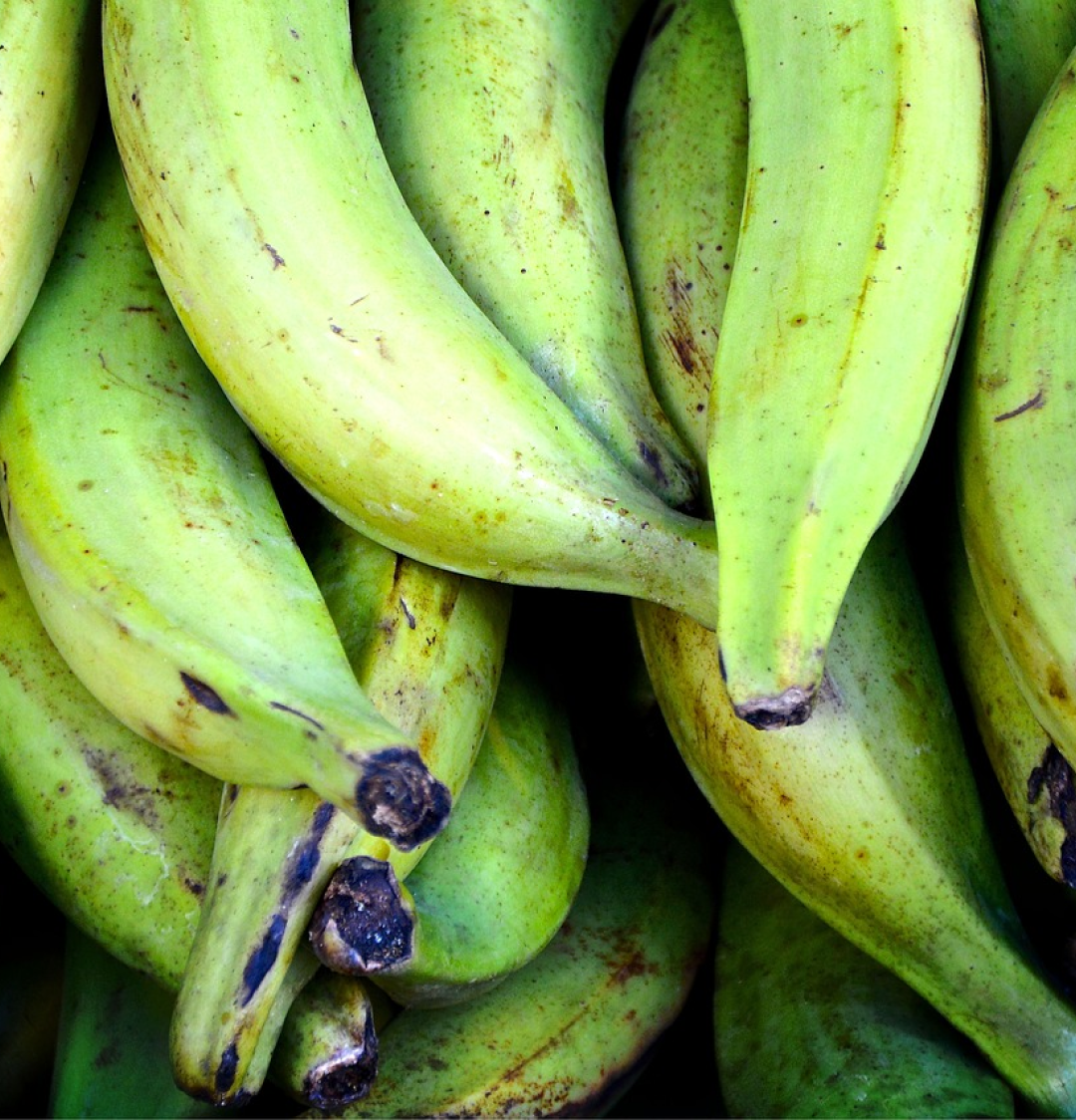 Plantain - Mfresh Grocery